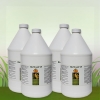 BioWash 25 Industrial Sizes - Image 3
